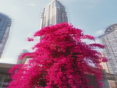 -日月光中心广场