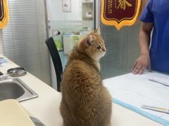 -美美宠物诊疗中心·异宠·骨科(滨江东信分院)
