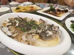 -陶缘一号·四季缘·老字号顺德菜·户外婚礼家宴(西滘店)