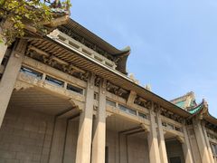 -武汉大学-樱园
