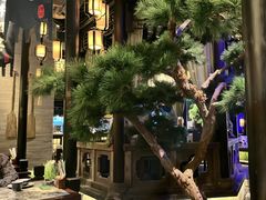 -绿茶餐厅(千岛湖银泰城店)