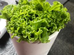 -江原道烤肉冷面韩国菜(红旗街店)