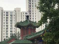-李小老烧饼(常营民族家园店)