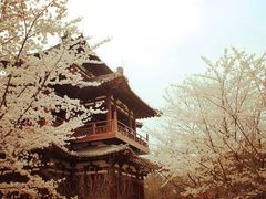 -西安青龙寺遗址景区