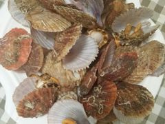 -烁佳海鲜大馅饺子