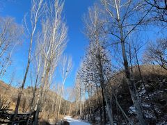 -蟠龙山长城景区