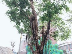 -灵玲国际马戏城