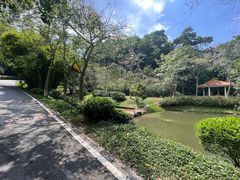 -火炉山森林公园