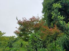 -宝界山林公园