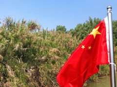 -大湾区中央湿地公园