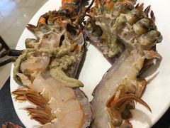 -海岛渔村大酒店(云霄路店)