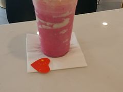-飞行喵MR PILOT|猫舍·猫咖(静安大融城店)
