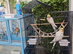 -丽江庭院之爱在路上(西单店)