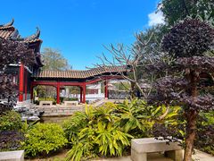 -顺峰山公园