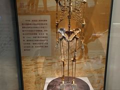 -天津自然博物馆