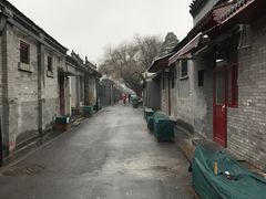 -铃木食堂(帽儿胡同店)