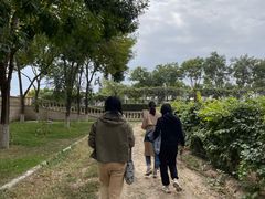 -龙谕酒庄