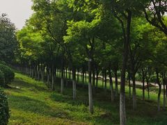 -永定河休闲森林公园