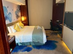 -常州环球恐龙城维景国际大酒店