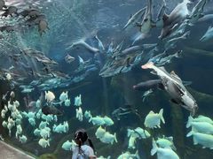 -波塞冬旅游度假区