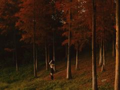 -东莞植物园