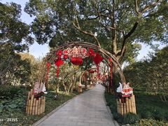 -上海醉白池公园