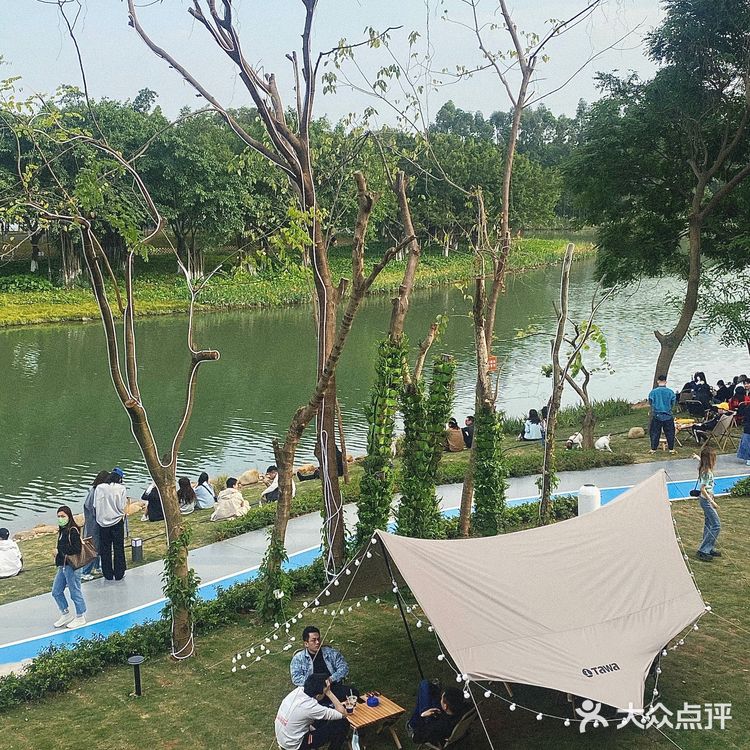 广州探店|⛰️被春日渗透的森林湖景咖啡馆