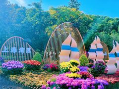 -上海共青森林公园