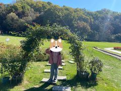 -吉林市朱雀山国家森林公园