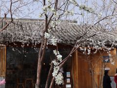 景点-三里河公园