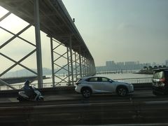 -金莲花广场