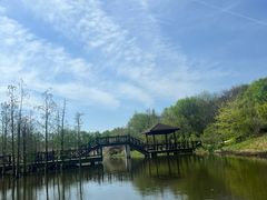 -同里国家湿地公园