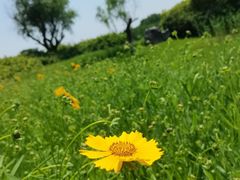 -宜兴龙背山森林公园