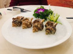 冰镇海螺-海龙渔村(万江分店)