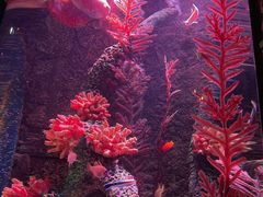 -沈阳海洋探索中心