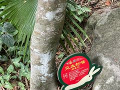 -呀诺达热带雨林