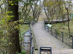 -西湖风景区-江洋畈生态公园