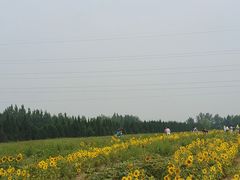 -汉长安城未央宫国家考古遗址公园