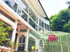 -有猫主题·治愈系猫咖(曾厝垵店)