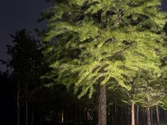 -西溪天堂商业街-停车场