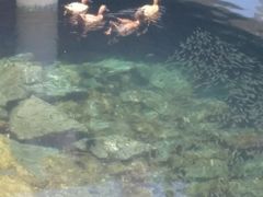 -麦哲伦丝绸度假村
