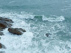 -广东惠东海龟国家级自然保护区