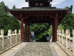 -东湖落雁景区