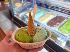 -极拉图·现制冰淇淋(大卫城店)