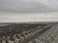 -南汇嘴观海公园