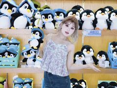 -海合安成都极地海洋公园