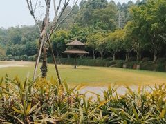 -广州莲花山旅游区
