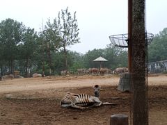 -大连森林动物园