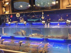 -必点海鲜·鲅鱼水饺(鞍山西道店)