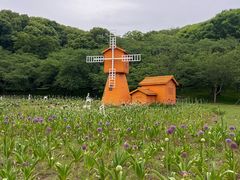 -苏州上方山国家森林公园